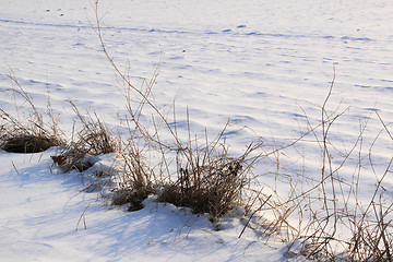 Image showing snow field