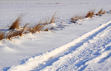 Image showing snow field