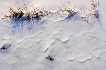 Image showing snow field