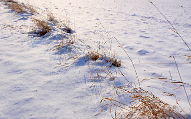 Image showing snow field