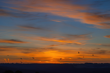 Image showing Dawn Sky at Cuckmere With Gulls