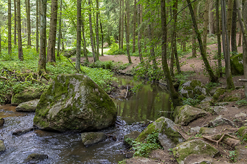 Image showing nature reserve in the Bavarian Forest