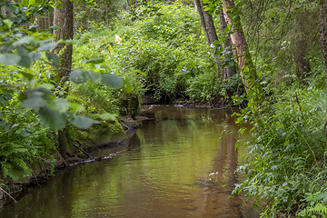 Image showing nature reserve in the Bavarian Forest