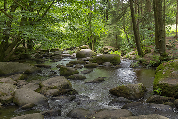 Image showing nature reserve in the Bavarian Forest