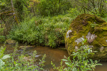 Image showing nature reserve in the Bavarian Forest