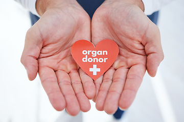 Image showing Doctor, hands and transplant for organ donor, support and good deed for healthcare, medical service and work. Nurse, hospital and charity for help, heart and sign for medicare, compassion or donation