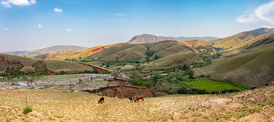 Image showing Devastated central Madagascar landscape - Mandoto, Vakinankaratra Madagascar