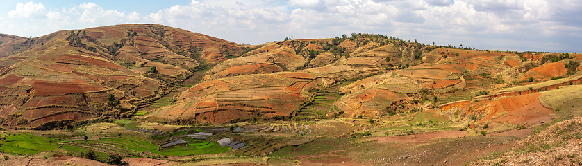 Image showing Devastated central Madagascar landscape - Betafo, Vakinankaratra Madagascar