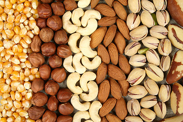 Image showing Nuts