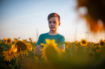 Image showing Portrait of beautiful blond kid boy on summer sunflower field