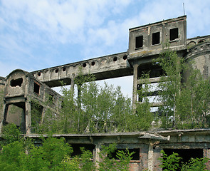 Image showing Abandoned plant