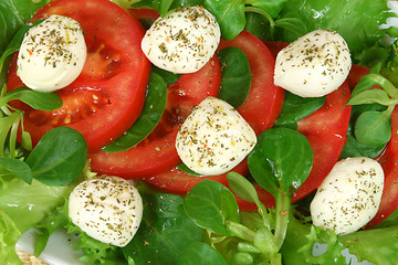 Image showing Tomato, mozzarella, lettuce