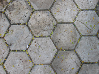 Image showing floor tiles