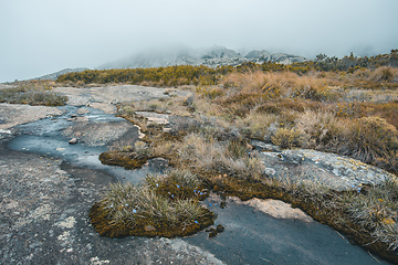 Image showing Andringitra national park,mountain landscape, Madagascar wilderness landscape