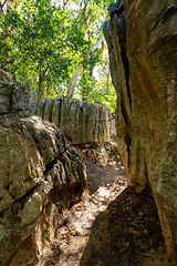 Image showing Petit Tsingy de Bemaraha, Madagascar wilderness landscape