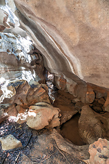 Image showing Petit Tsingy de Bemaraha, Madagascar wilderness landscape