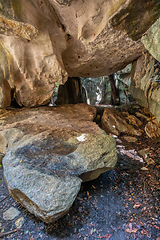 Image showing Petit Tsingy de Bemaraha, Madagascar wilderness landscape