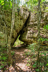 Image showing Petit Tsingy de Bemaraha, Madagascar wilderness landscape