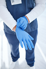 Image showing Gloves, hospital and hands of doctor for surgery, medicine and working in clinic for wellness. Healthcare, help and person with ppe for safety, protection and hygiene in medical service or procedure