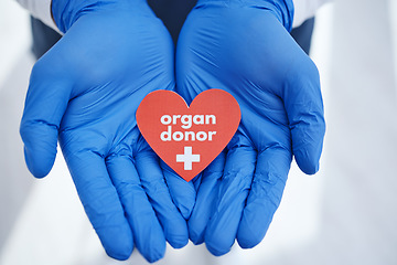 Image showing Hands, heart and doctor with organ donation, help and medical transplant in hospital zoom. Healthcare, charity and palm of surgeon with sign for cardiovascular, surgery or donor, support or hope