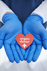 Image showing Heart, hands and doctor with organ donation, help and medical transplant in hospital zoom. Healthcare, charity and palm of surgeon with sign for cardiovascular, surgery or donor, support or hope