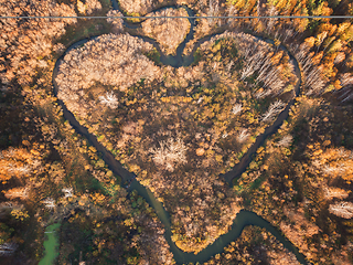 Image showing Heart shaped river