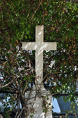 Image showing marble cross and overgrown plant