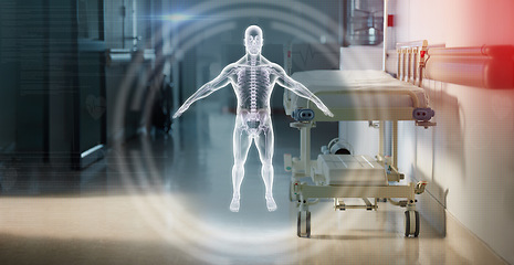 Image showing Hologram, anatomy and a bed in the corridor of a hospital after work, ready for an emergency or accident. Healthcare, medical and overlay with a gurney in the empty hallway of a health clinic