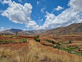 Image showing Devastated central Madagascar landscape - Mandoto, Vakinankaratra Madagascar