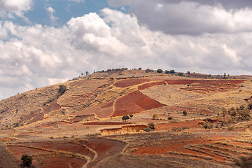 Image showing Devastated central Madagascar landscape - Mandoto, Vakinankaratra Madagascar