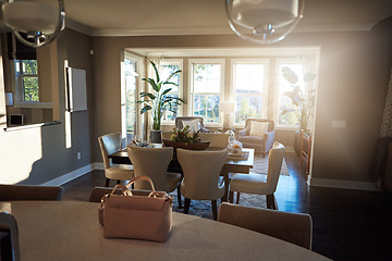 Image showing Home interior, elegant living room and modern house with chairs, plants and carpet in space. Clean, minimal and luxury furniture in an organised open lounge in a cozy, stylish and neutral apartment.