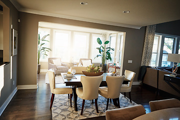 Image showing Home interior, luxury dining room and modern house with chairs, plants and carpet in space. Clean, minimal and elegant furniture in organised open eating area in cozy, stylish and neutral apartment.