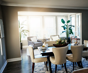 Image showing Home interior, elegant dining room and modern house with chairs, plants and carpet in space. Clean, minimal and elegant furniture in organised open eating area in cozy, stylish and neutral apartment