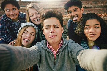 Image showing Selfie, funny face or portrait of friends in park for social media, online post or profile picture in autumn. Boys, girls or gen z people taking photograph on fun holiday vacation to relax in nature