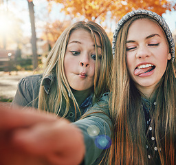 Image showing Selfie, funny face or girl friends in park for social media, online post or profile picture in nature. Playful, freedom or happy gen z or teenage people photograph for memory on a holiday vacation