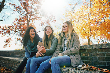 Image showing Phone meme, funny or friends in park with smile together for holiday vacation outdoors on social media. Happy people, gossip or gen z girls in nature talking, speaking or laughing at a comedy joke
