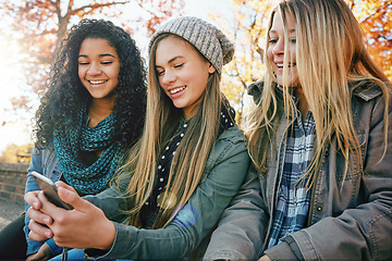 Image showing Phone, social media or girl friends in park with smile together for holiday vacation bonding outdoors. Teenager, gossip or happy gen z people in nature talking, speaking or laughing at a funny meme