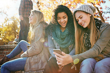 Image showing Phone, teenager gossip or friends in park with smile for holiday vacation on funny social media post or meme. Happy people, drama or gen z girls in nature talking, speaking or laughing at comedy joke