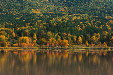 Image showing Autumn reflections lake