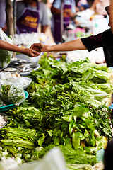 Image showing Vegetables, market and hands for payment, shopping and customer cash at local food store or outdoor vendor. Seller, supplier or small business people, giving money and lettuce, green or asian herbs