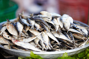 Image showing Fish, food and cuisine at a street market in Thailand for nutrition or local delicacy during travel closeup. Grill, trade and seafood outdoor for purchase or experience of culture and tradition