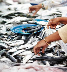 Image showing Fish, trade and cuisine at a street market in Thailand for nutrition or local delicacy during travel closeup. Grill, food and seafood outdoor for purchase or experience of culture and tradition