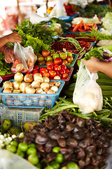 Image showing Vegetables, local market and hands for shopping, trading goods and customer at food store or outdoor vendor. Seller, supplier or small business people with green product, garlic and sale for grocery