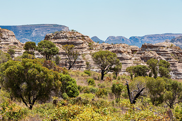 Image showing Isalo National Park in the Ihorombe Region, Madagascar