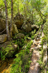 Image showing Rain forest stone stairs, Isalo national park, Madagascar wilderness landscape