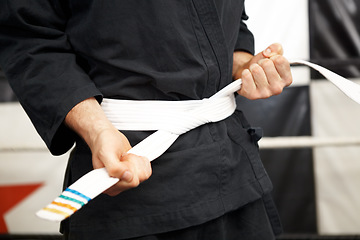 Image showing Man, hands and white belt in karate of martial arts beginner, training or discipline at dojo. Closeup of male person tying gi or ranking in self defense, arena or professional fighting sport match