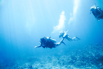 Image showing People, swimming and scuba diving in ocean to explore underwater, adventure and tropical holiday or vacation. Sports, group and athlete or expert diver in blue water, bubbles and search for sea life