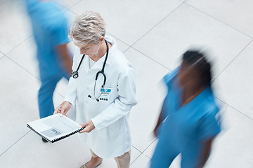 Image showing Woman, doctor and hospital data with a nursing team in a busy wellness and health clinic. Medical, healthcare and nurse worker with insurance, help and medicine information ready for surgery