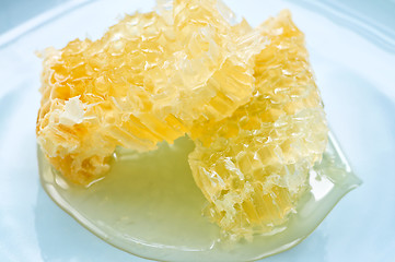 Image showing Honey in honeycomb