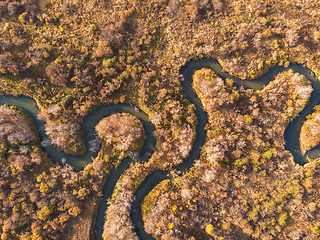 Image showing autumn landscape with river.